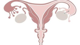 排卵期出血不会持续太久 超过这个时间要重视