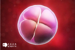 鲜胚移植第十天HCG参考值达20，成功怀孕的可能性与其他因素有关