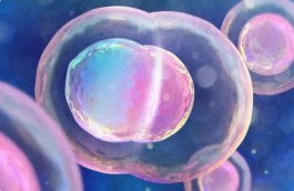 国外第三代试管婴儿要多少钱(试管一代二代三代是什么意思）