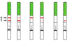 排卵试纸什么时候测最准确 建议选择在早10点到晚8点间