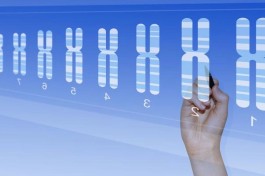  试管婴儿前双方基因筛查有必要吗