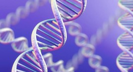 泰国nic医院三代试管婴儿过程咋样的(试管婴儿全部详细流程)