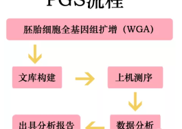 一文了解柬埔寨皇家生殖医院 RFG名医白方敏篇