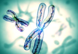 广州哪家医院可以做试管婴儿（广州做试管婴儿靠谱的医院）