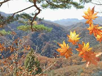 胚胎移植后出血这是怎么回事呢